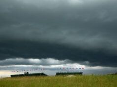 Golfer Struck By Lightning While Playing During Storm Golfer Struck By Lightning While Playing During Storm