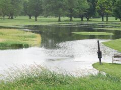 Brutal Truth: Golfers Get No Relief For Turf Seam Lies Brutal Truth: Golfers Get No Relief For Turf Seam Lies