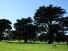 There’s Finally a Yelp for Golf Courses, and It’s Awesome There's Finally a Yelp for Golf Courses, and It's Awesome